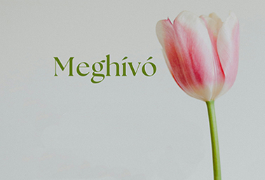 meghívó részlet